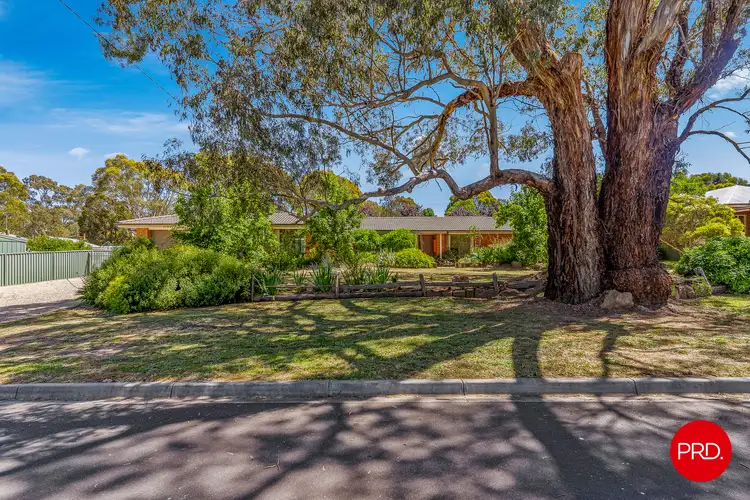 Second view of Homely house listing, 39 Brown Street, Castlemaine VIC 3450