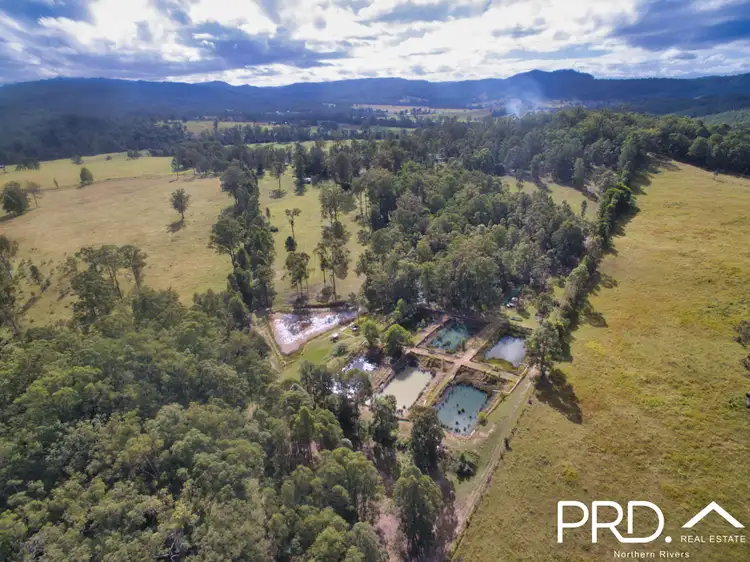Fourth view of Homely rural property listing, 1415 Iron Pot Creek Road, Ghinni Ghi NSW 2474