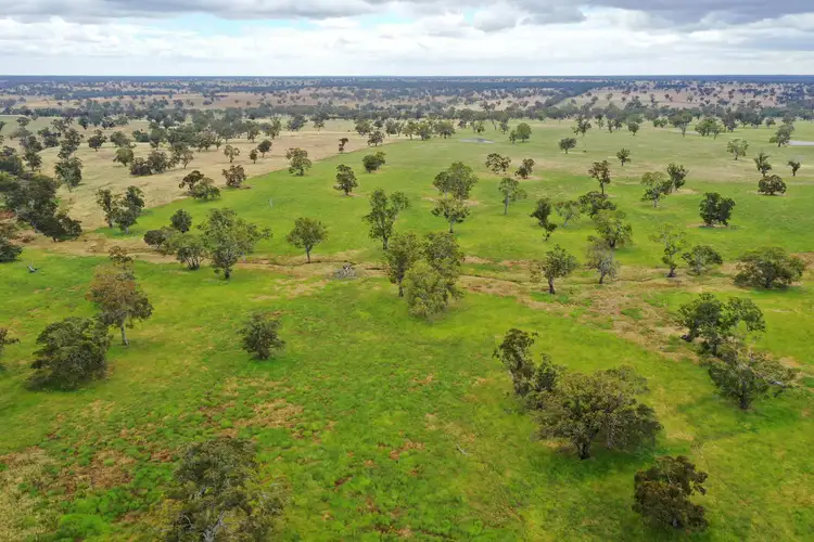 Main view of Homely rural property listing, Address available on request