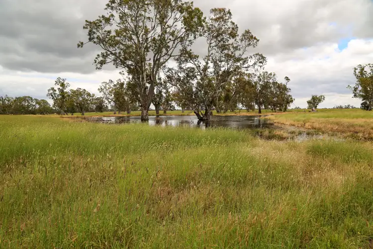 Sixth view of Homely rural property listing, Address available on request