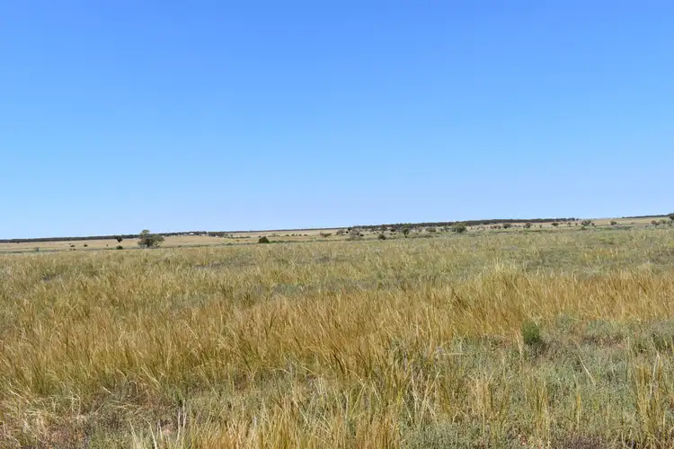 Second view of Homely rural property listing, 1156 Stonefield Road, Steinfeld SA 5356