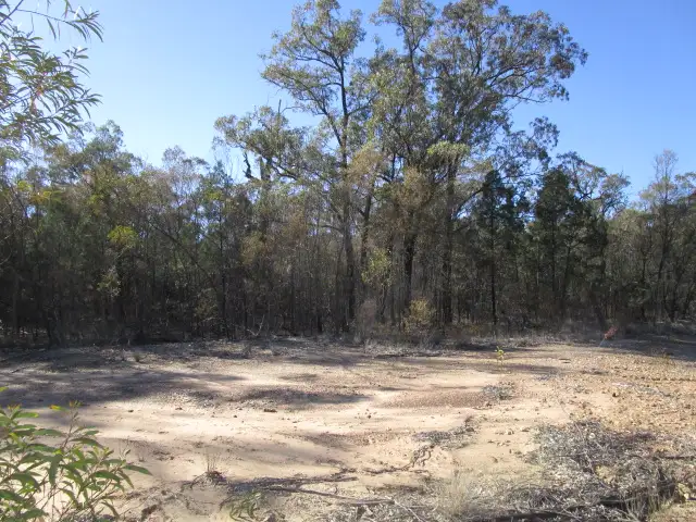 LOT 45 TARA CHINCHILLA ROAD, Tara QLD 4421