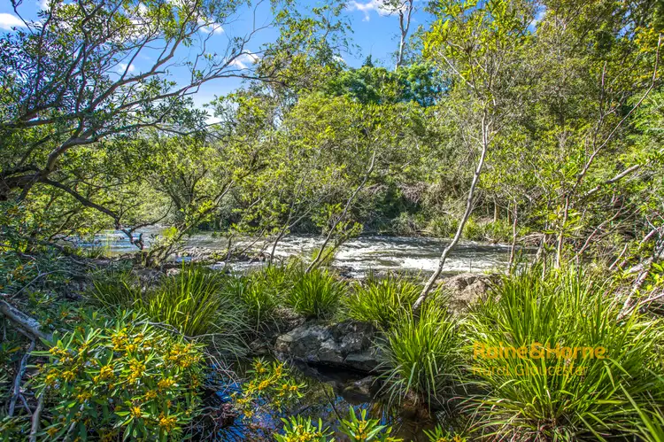 Sixth view of Homely rural property listing, 229 Callaghans Creek Road Bundook via, Gloucester NSW 2422