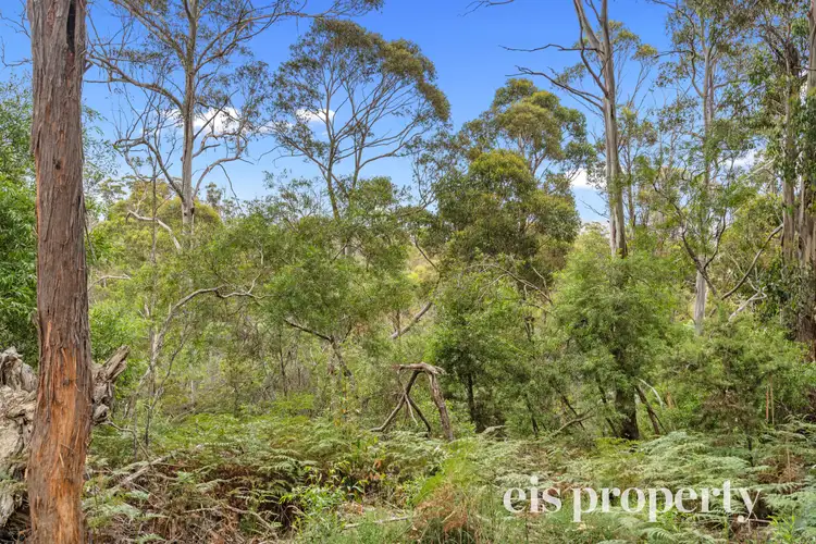Sixth view of Homely land listing, Clarks Road, Cradoc TAS 7109