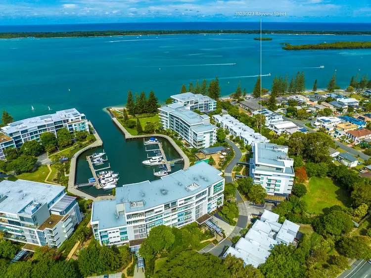 3101/323 Bayview Street, Hollywell QLD 4216