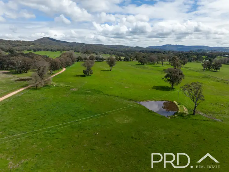 Fifth view of Homely rural property listing, 371 Snowy Mountains Highway, Tumut NSW 2720