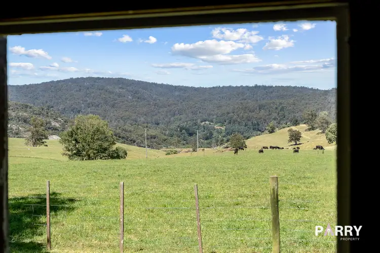 Third view of Homely house listing, 31692 Tasman Highway, Derby TAS 7264