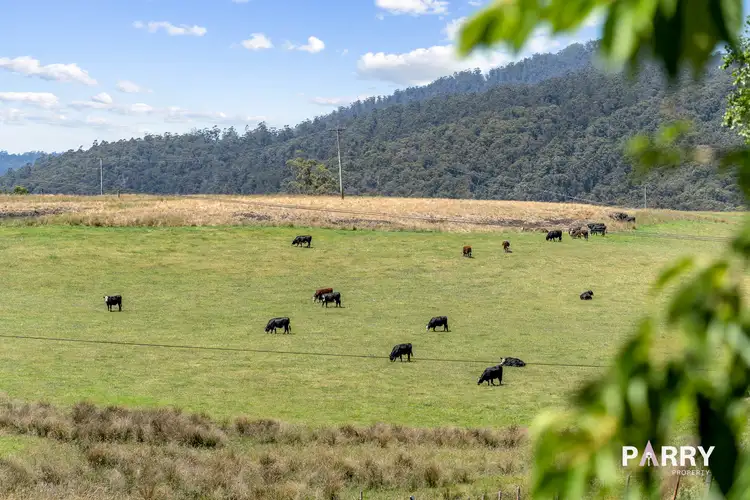 Fifth view of Homely house listing, 31692 Tasman Highway, Derby TAS 7264