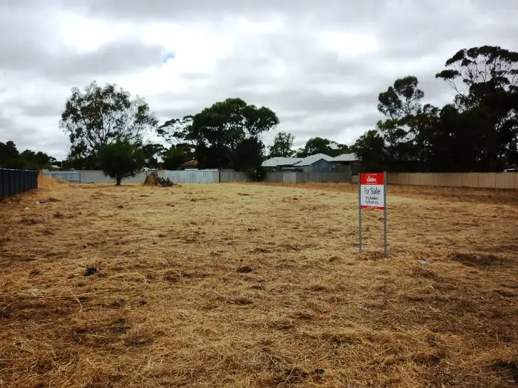 59 Piesse Street, Katanning WA 6317