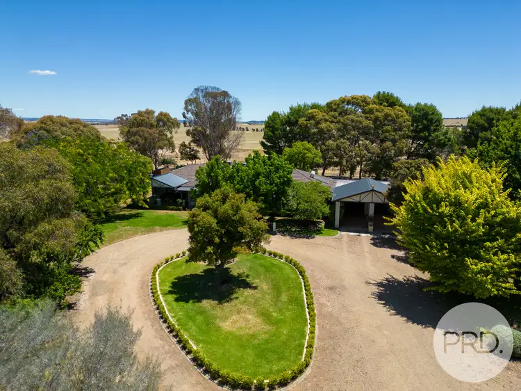 Main view of Homely house listing, 519 Shepherds Siding Road, Harefield NSW 2650
