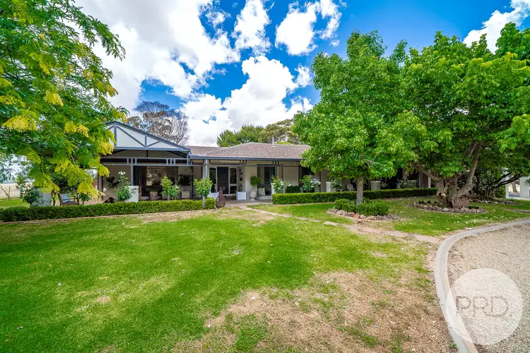 Third view of Homely house listing, 519 Shepherds Siding Road, Harefield NSW 2650