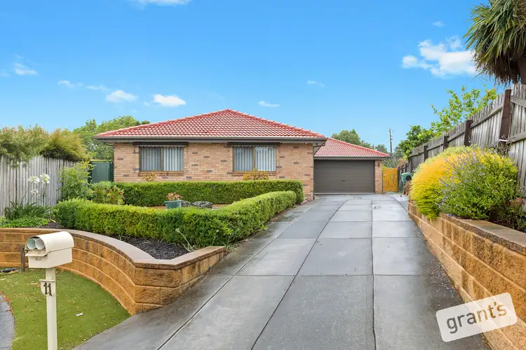 Main view of Homely house listing, 11 Tripoli Court, Hallam VIC 3803