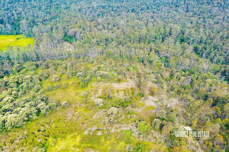 Second view of Homely rural property listing, 107 Buldah Road, Chandlers Creek VIC 3890