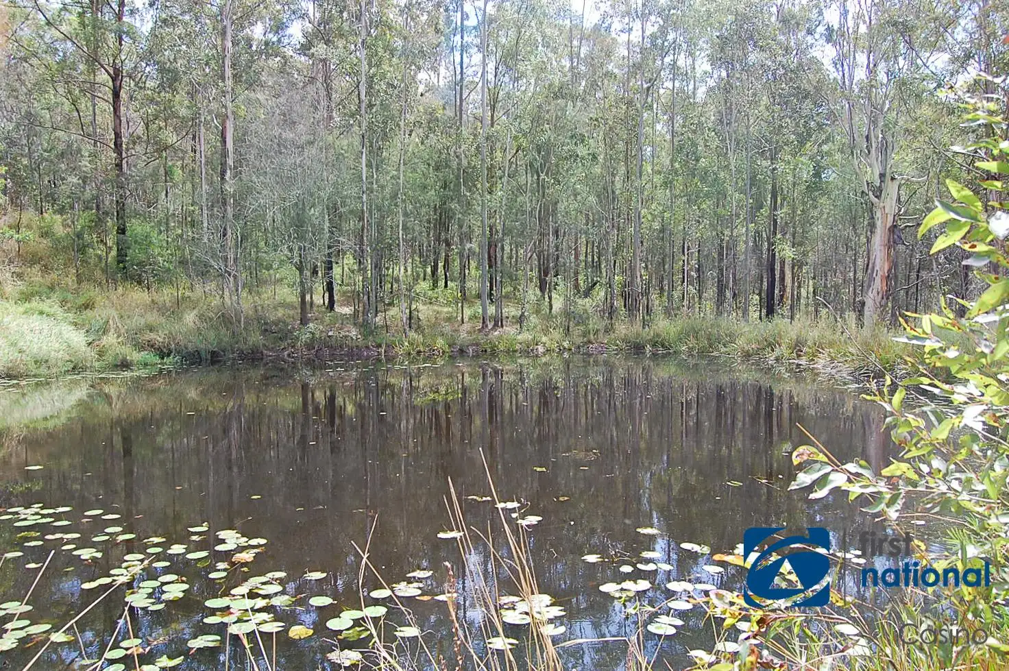Main view of Homely rural property listing, 1042 Bulldog Road, Bulldog NSW 2469