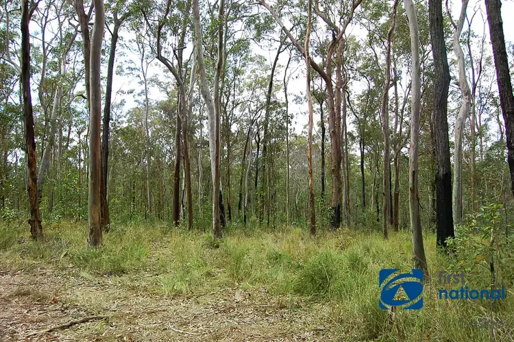 Second view of Homely rural property listing, 1042 Bulldog Road, Bulldog NSW 2469