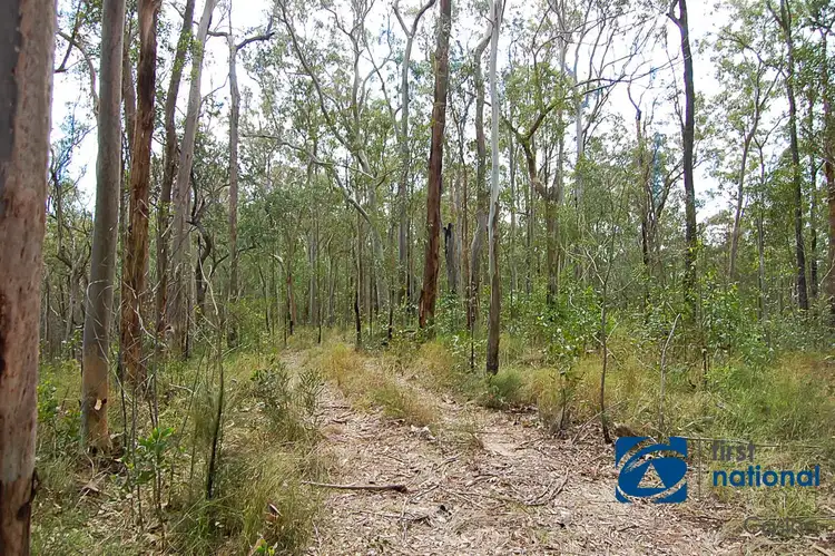 Third view of Homely rural property listing, 1042 Bulldog Road, Bulldog NSW 2469