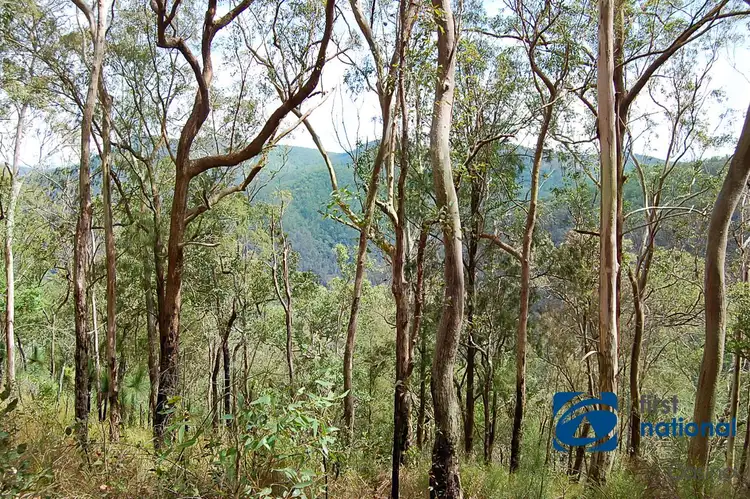 Fourth view of Homely rural property listing, 1042 Bulldog Road, Bulldog NSW 2469