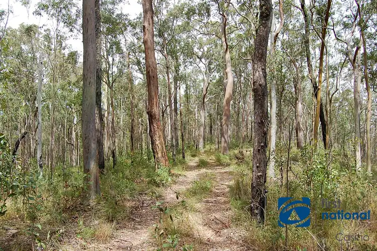Fifth view of Homely rural property listing, 1042 Bulldog Road, Bulldog NSW 2469