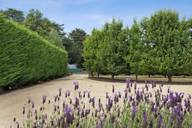 Seventh view of Homely house listing, 10 Kyneton Springhill Road, Kyneton VIC 3444