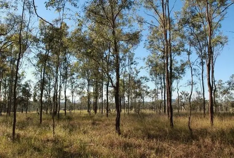 Fourth view of Homely rural property listing, 365 Clarendon road, Rifle Range QLD 4311