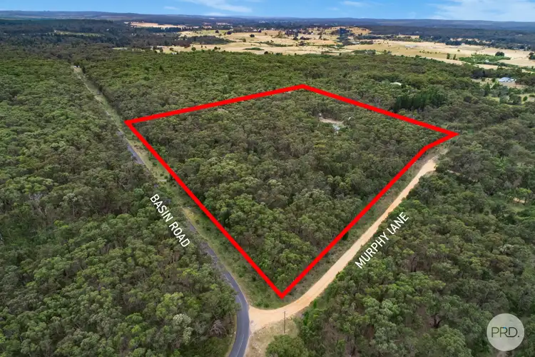 Second view of Homely house listing, 97 Basin Road, Scarsdale VIC 3351