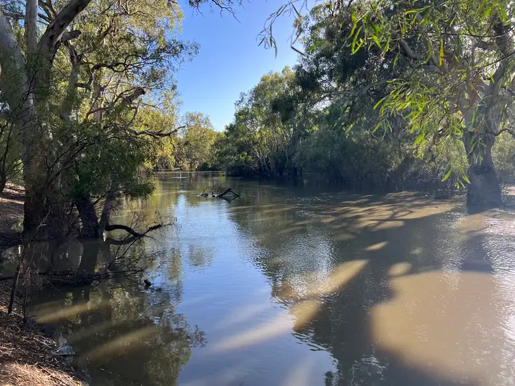 139 Billabong Creek Drive, Conargo NSW 2710