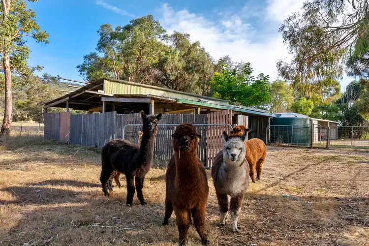 Fifth view of Homely rural property listing, 170 Ethell Road, Lima VIC 3673