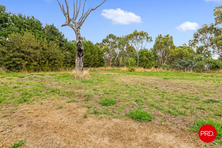 Fifth view of Homely land listing, 1431 Bendigo-Sutton Grange Road, Sutton Grange VIC 3448