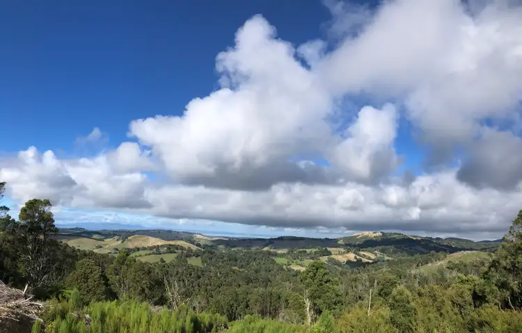Third view of Homely rural property listing, 567 Devils Pinch Rd, Toora VIC 3962