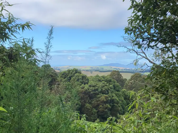Fifth view of Homely rural property listing, 567 Devils Pinch Rd, Toora VIC 3962