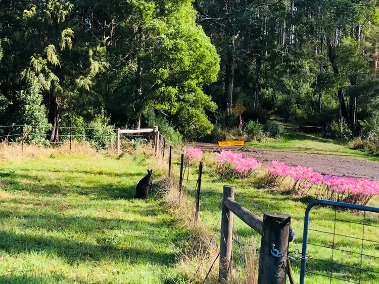 Sixth view of Homely rural property listing, 567 Devils Pinch Rd, Toora VIC 3962
