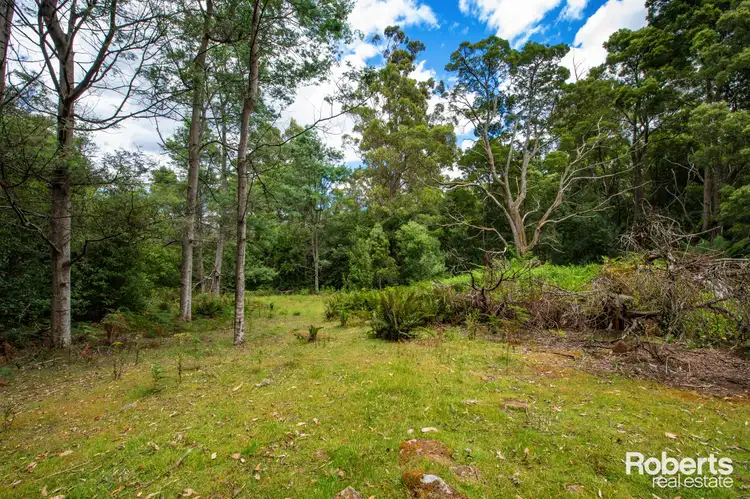Main view of Homely rural property listing, Lot 1/175 Glenford Farm Road, Underwood TAS 7268