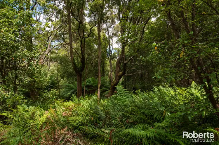 Seventh view of Homely rural property listing, Lot 1/175 Glenford Farm Road, Underwood TAS 7268