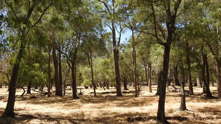 Main view of Homely rural property listing, Lot 10 Marbellup Road (Jindong), Busselton WA 6280
