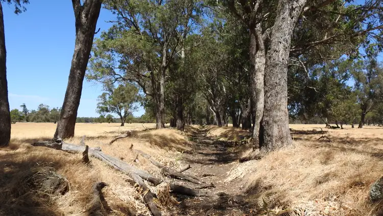 Fourth view of Homely rural property listing, Lot 10 Marbellup Road (Jindong), Busselton WA 6280