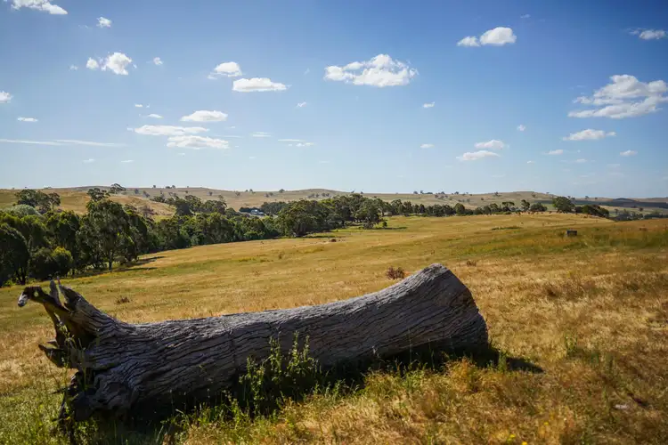 Fifth view of Homely rural property listing, 406 Goochs Lane, Pastoria East VIC 3444