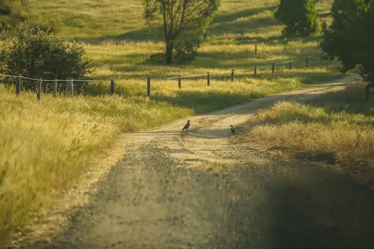 Sixth view of Homely rural property listing, 406 Goochs Lane, Pastoria East VIC 3444