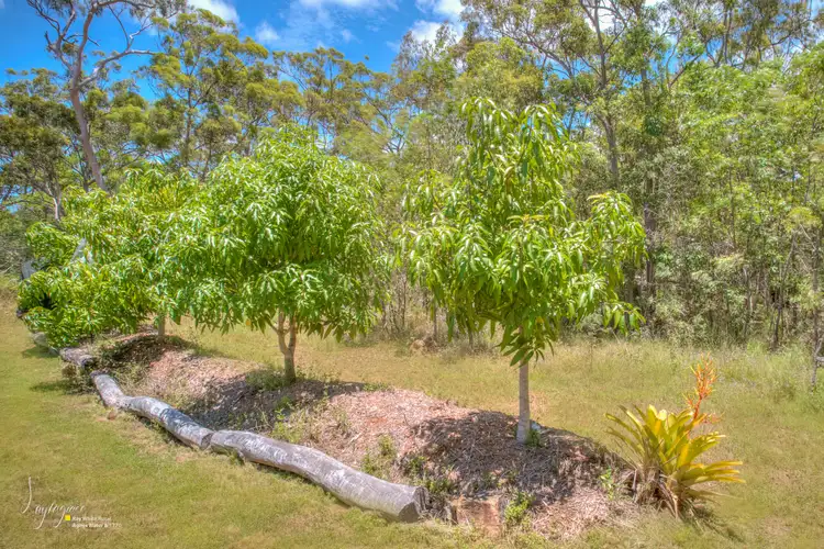 Sixth view of Homely rural property listing, 302 Dillon Road, Captain Creek QLD 4677