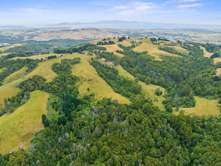 Fourth view of Homely rural property listing, 205 Mount Best-Tin Mine Rd, Toora North VIC 3962
