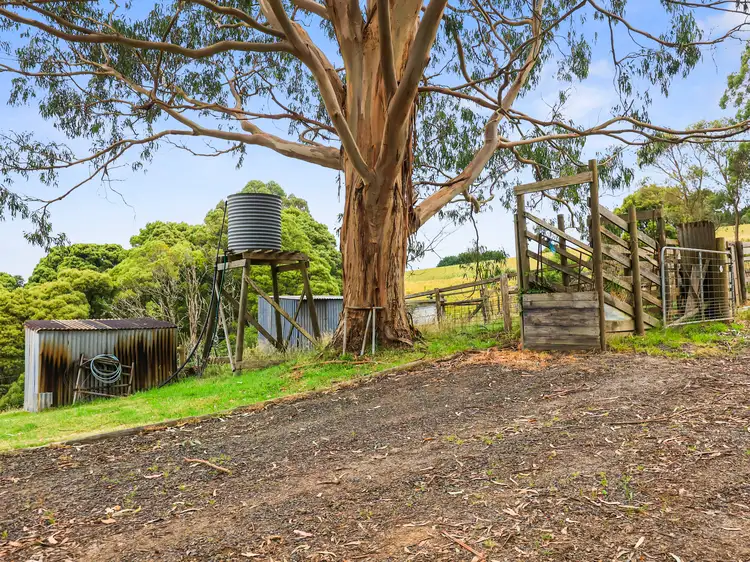 Fifth view of Homely rural property listing, 205 Mount Best-Tin Mine Rd, Toora North VIC 3962