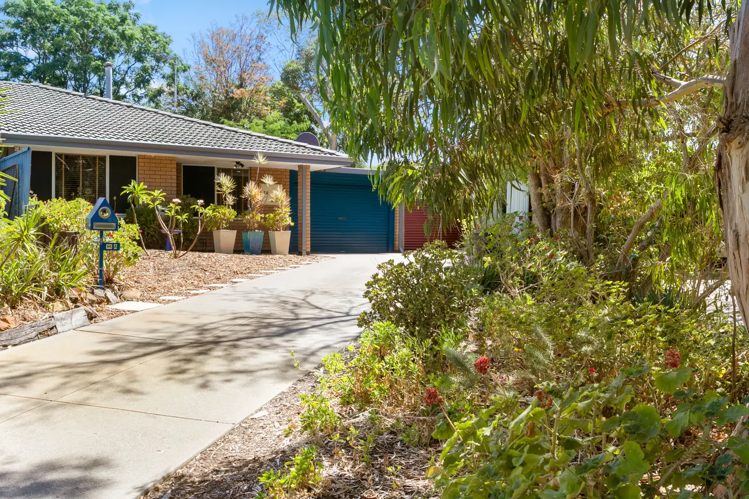 Main view of Homely house listing, 11A Macmorris Way, Spearwood WA 6163