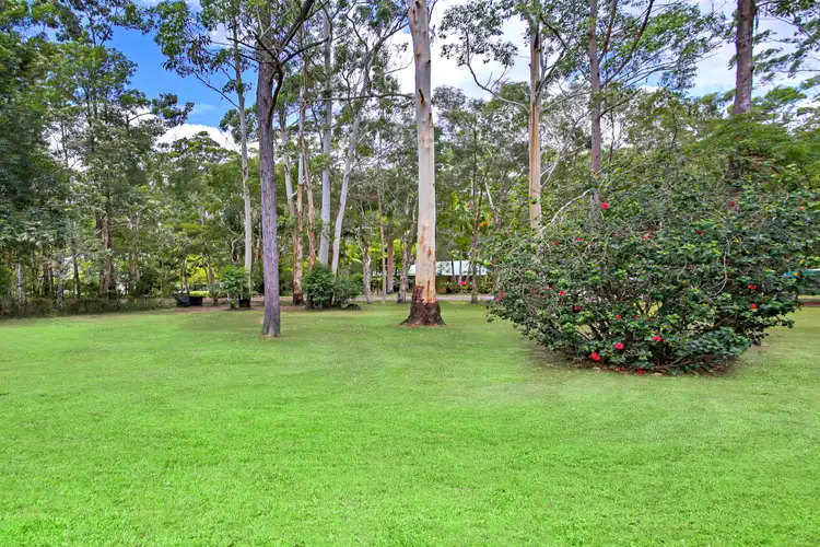 Third view of Homely house listing, 3 Grey Gum Court, Lake Macdonald QLD 4563