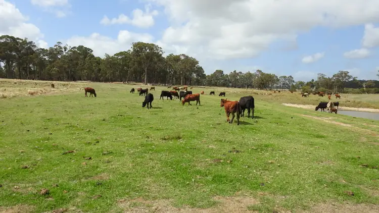 Third view of Homely rural property listing, 195 Crozier Road, Rosa Brook WA 6285