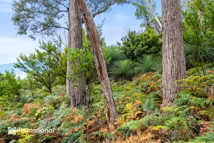 Seventh view of Homely land listing, LOT 2, 414 Nebraska Road, Killora TAS 7150