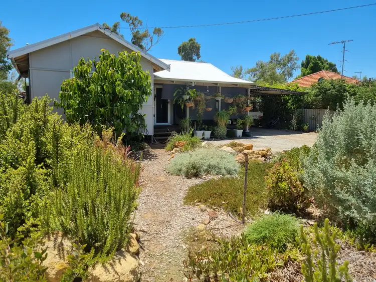 Main view of Homely house listing, 19 Williamson Street, Three Springs WA 6519