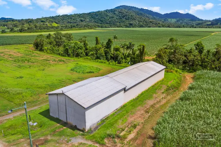 Second view of Homely rural property listing, 240 Menzies Road, Bartle Frere QLD 4861