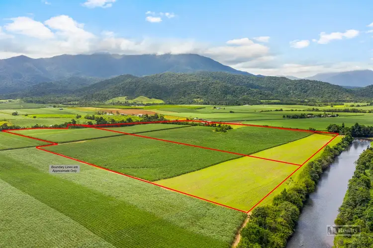 Fifth view of Homely rural property listing, 240 Menzies Road, Bartle Frere QLD 4861