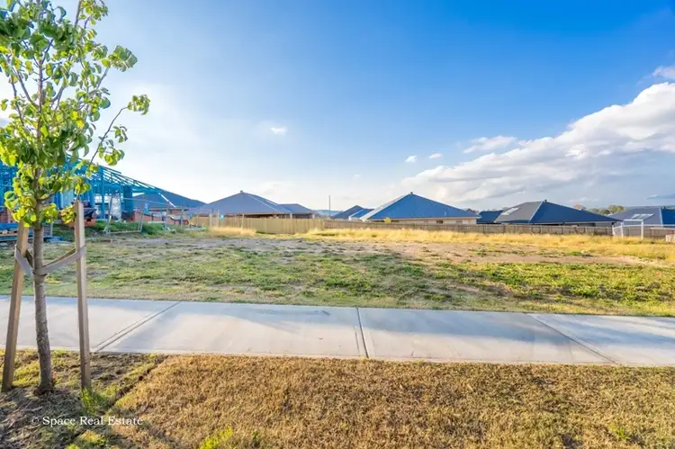 LOT 187 Condell Park Road, Wilton NSW 2571