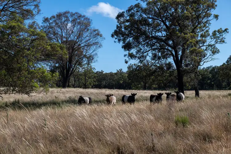 5500 Ulan Road, Mudgee NSW 2850