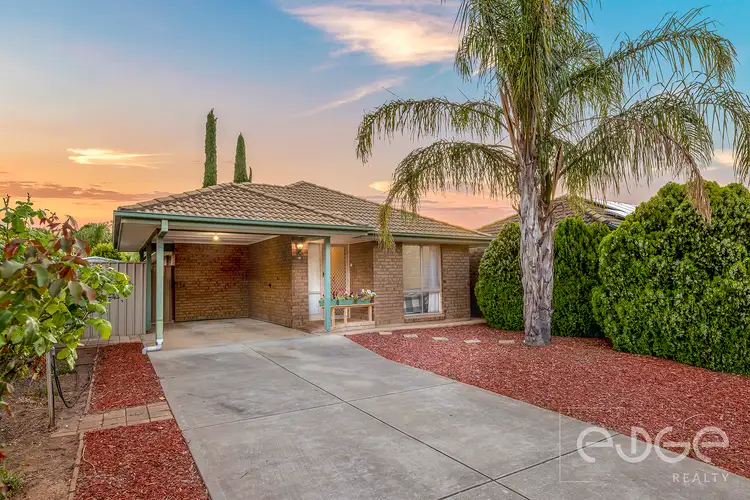 Main view of Homely house listing, 12 Daintree Walk, Blakeview SA 5114